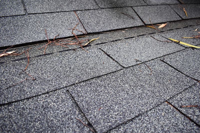Close-up of an asphalt shingle roof